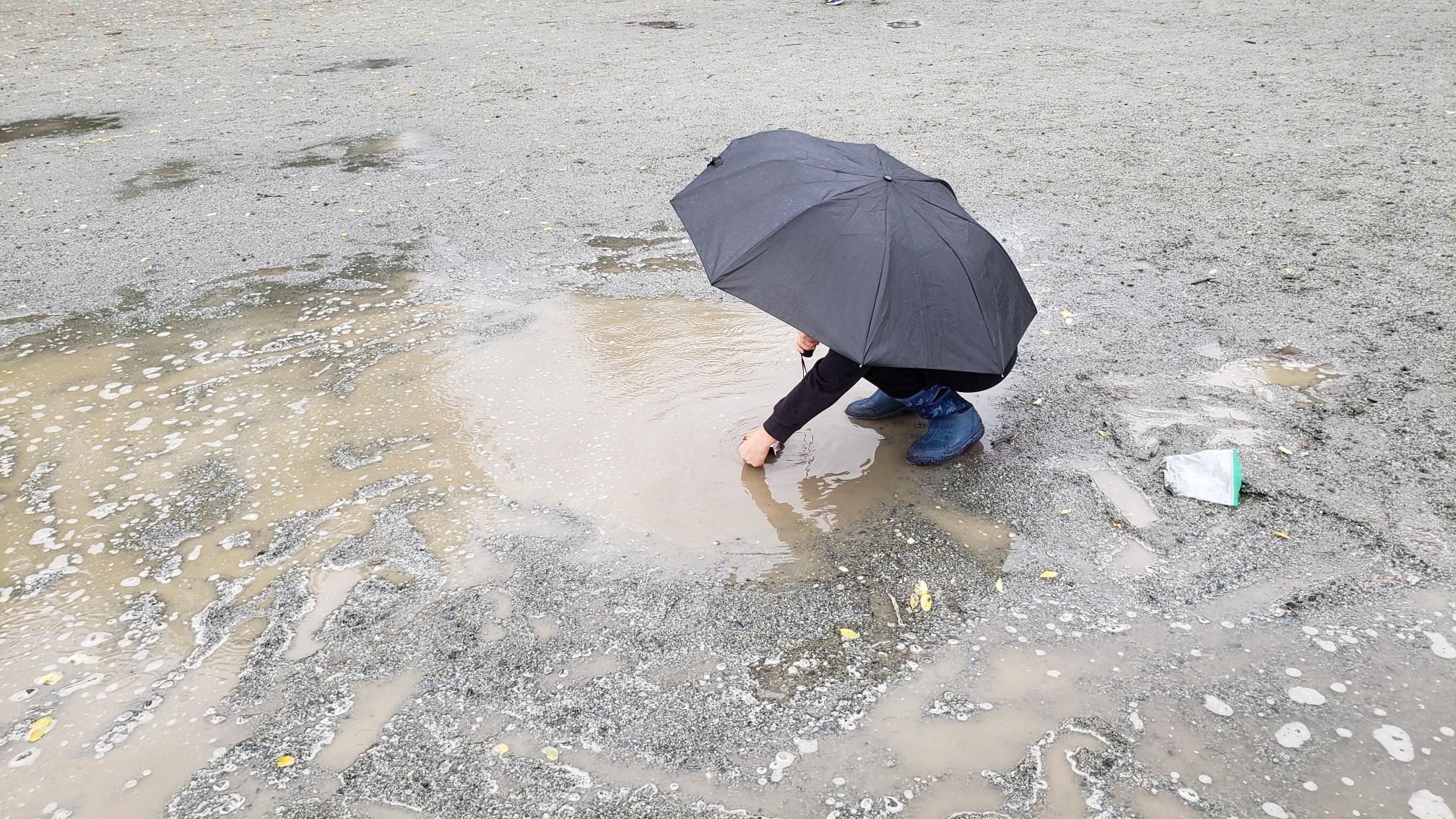 20250929_121603_resized