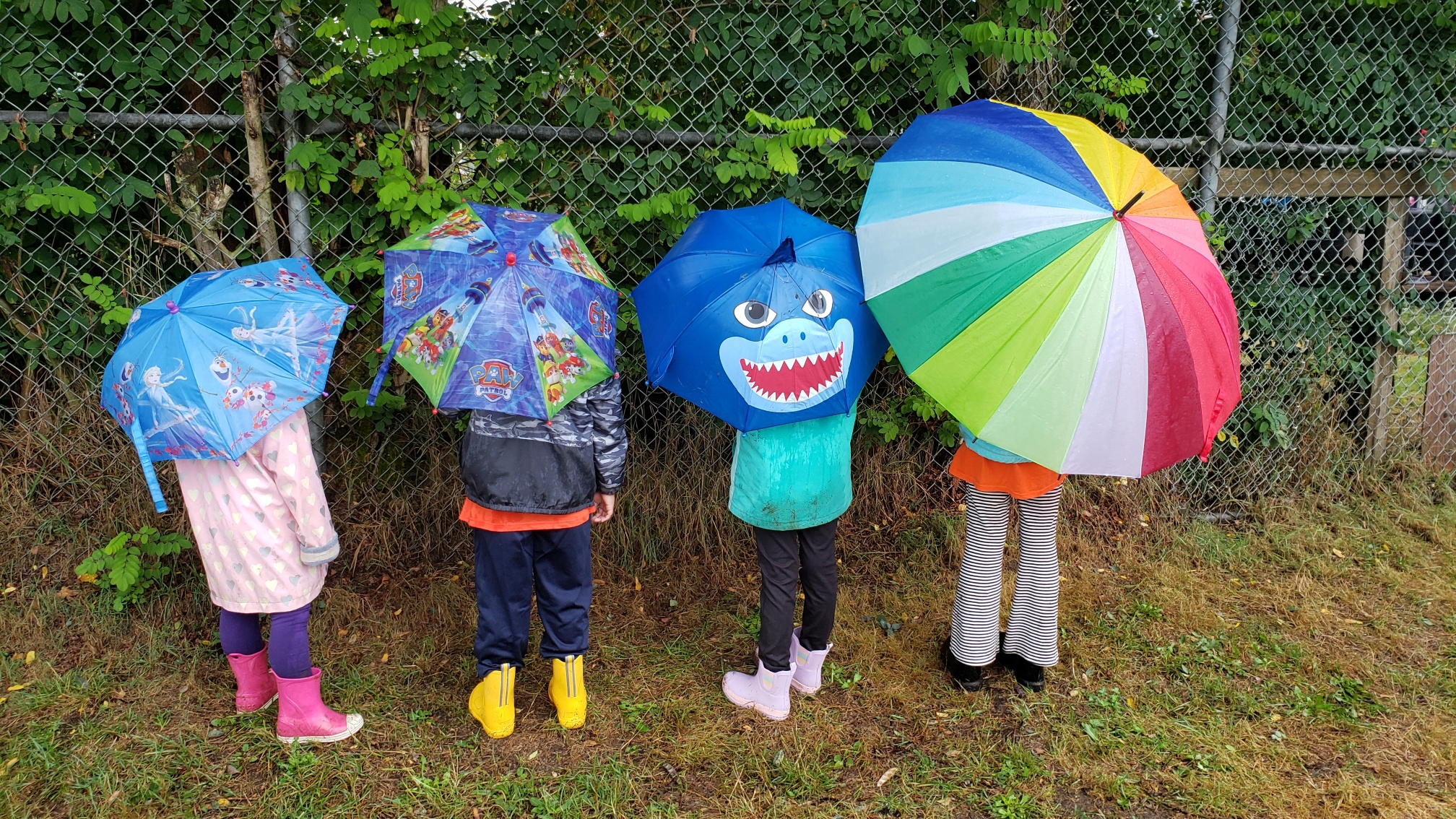 20250929_122528_resized